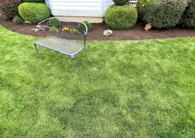 Excellent landscaping company