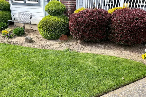 Lawn Care Services