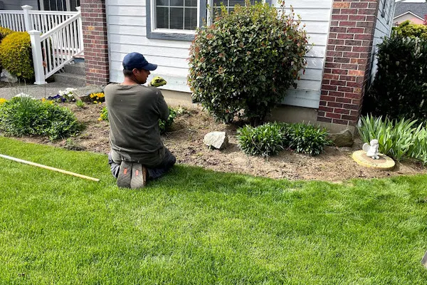 Lawn Maintenance