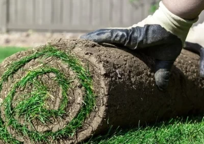 Reliable landscaping company