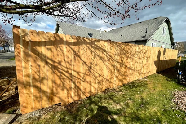 Whatcom Landscape Maintenance's other services