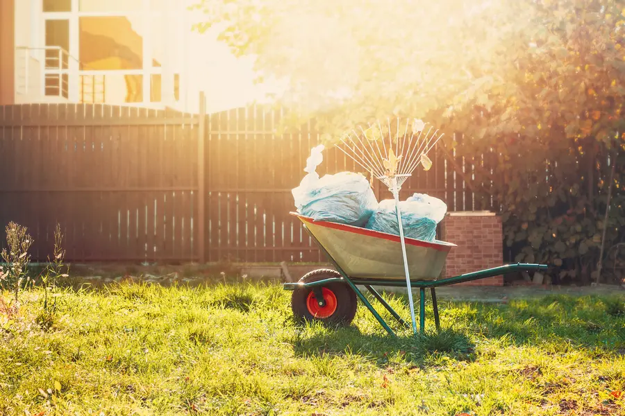 How Yard Cleanup Helps Prevent Pest Infestations And Diseases in Lynden, WA