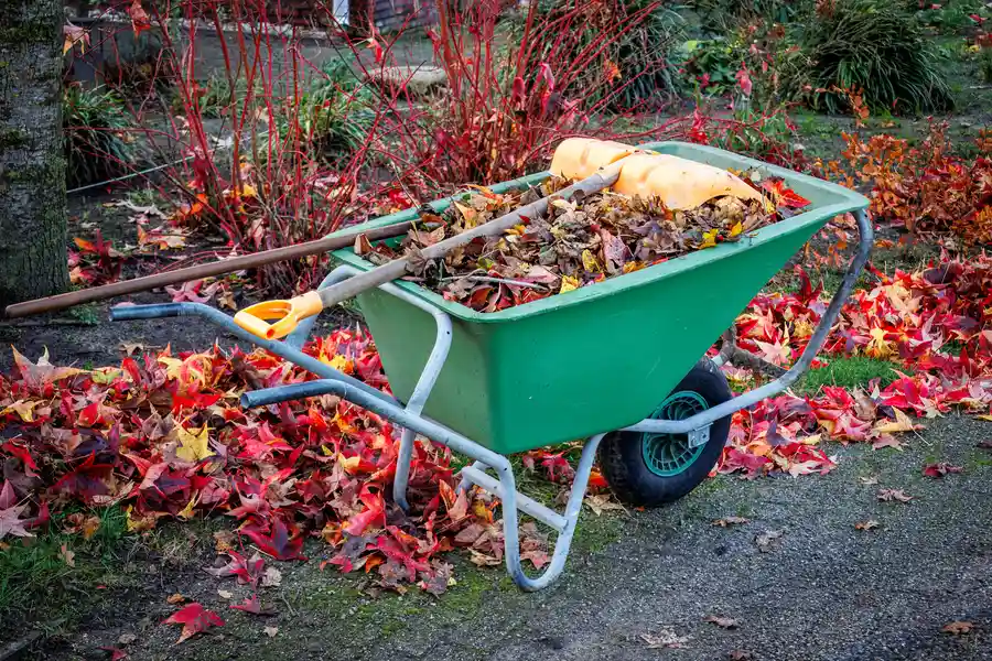 How Yard Cleanup Services Can Save You Time And Effort Lynden, WA How Yard Cleanup Services Can Save You Time And Effort Lynden, WA