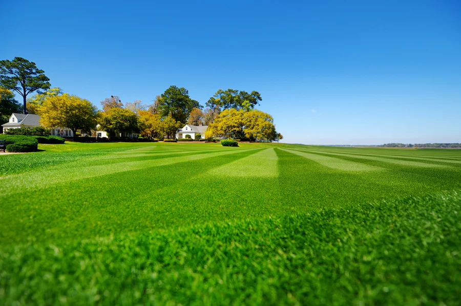 The Importance Of Seasonal Lawn Care For Long-term Health in Lynden, WA