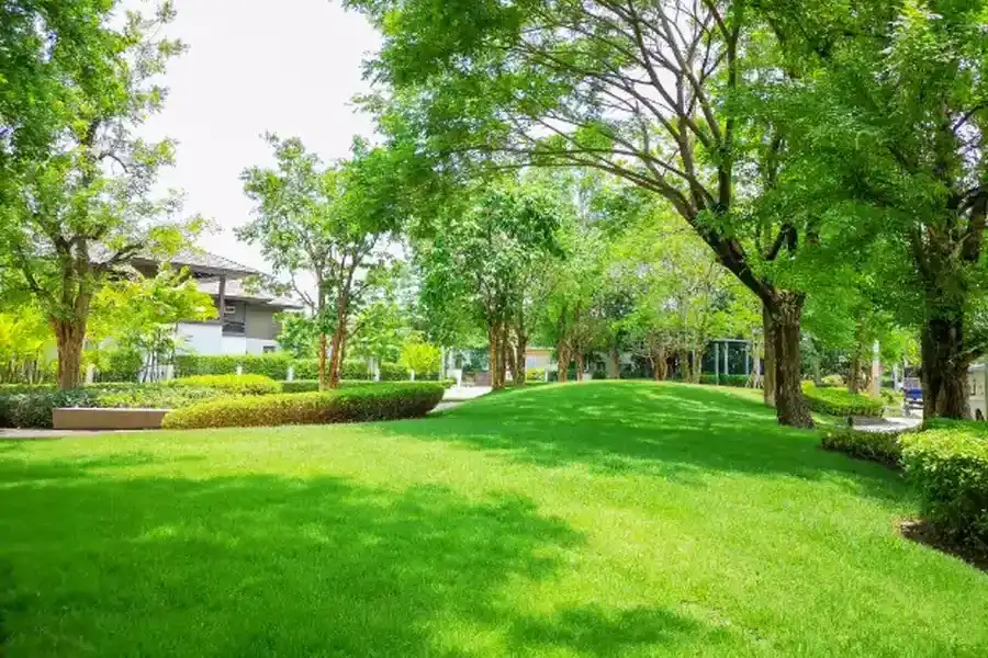 Understanding Seasonal Lawn Maintenance Schedules Lynden, WA Understanding Seasonal Lawn Maintenance Schedules Lynden, WA